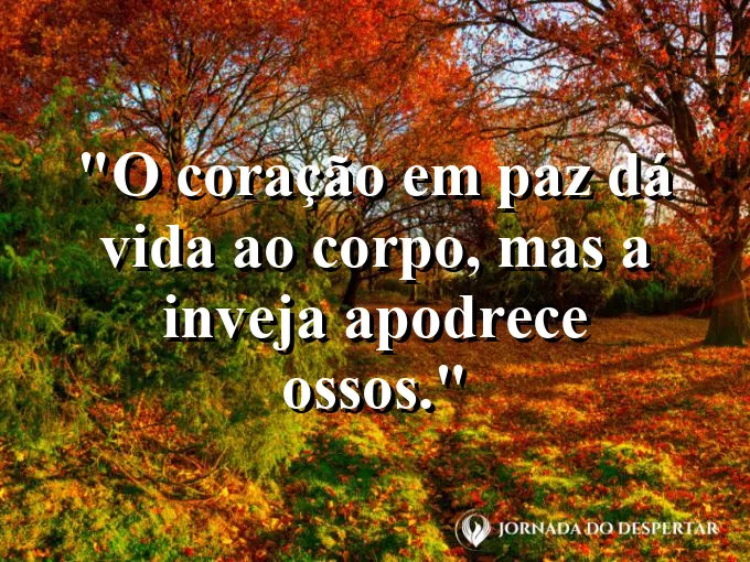 Lago de águas cristalinas e calmas com frase sobre a paz que dá vida ao corpo.