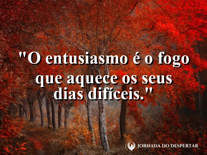 Fogueira brilhando intensamente sob um céu cheio de estrelas.