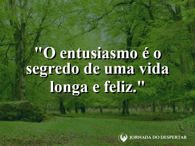 Pessoa saltando de alegria em um campo de girassóis.