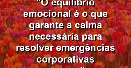 “O equilíbrio emocional é o que garante a calma necessária para resolver emergências corporativas graves.”