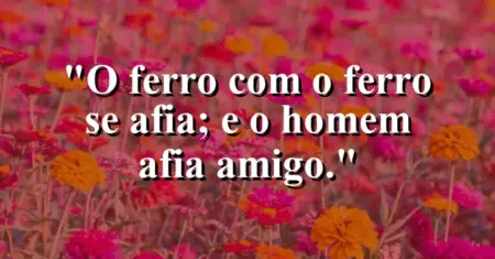 “O ferro com o ferro se afia; e o homem afia amigo.”