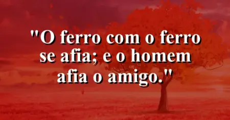 “O ferro com o ferro se afia; e o homem afia o amigo.”