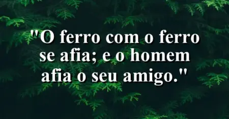 “O ferro com o ferro se afia; e o homem afia o seu amigo.”