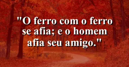 “O ferro com o ferro se afia; e o homem afia seu amigo.”
