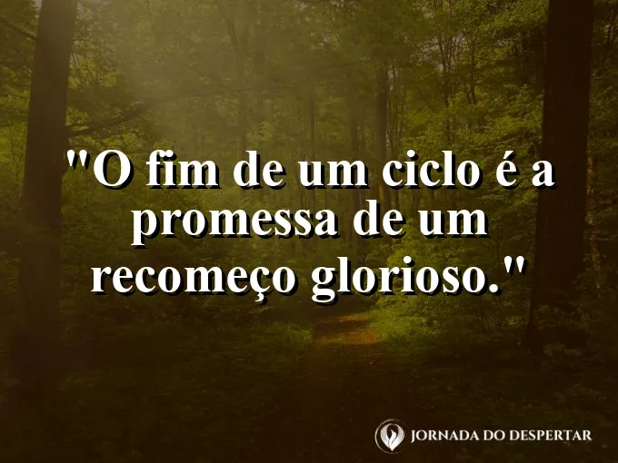 Pássaros voando em direção ao sol nascente no horizonte.