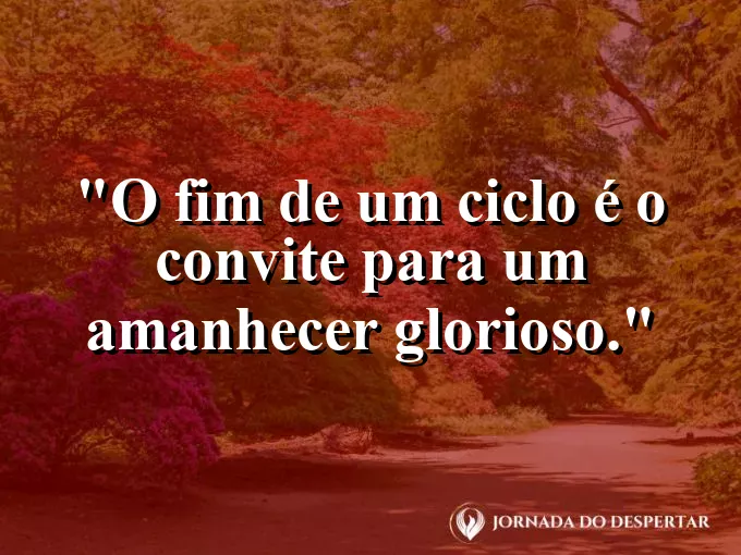 Pássaros voando em bando em direção ao sol que nasce no horizonte.