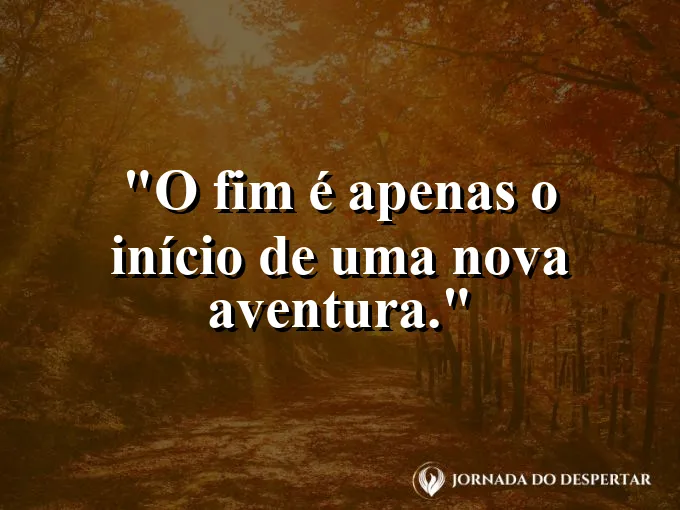 Pássaros voando em direção ao sol nascente.