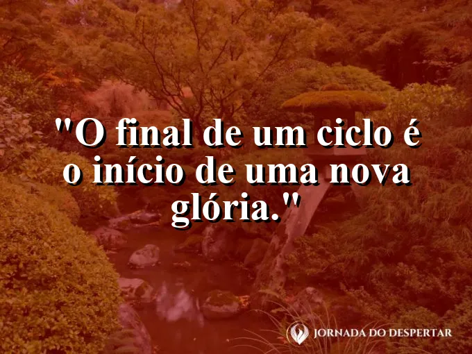 Pássaros voando em bando em direção ao sol que se põe.