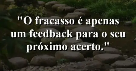 O fracasso é apenas um feedback para o seu próximo acerto.