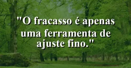 O fracasso é apenas uma ferramenta de ajuste fino.
