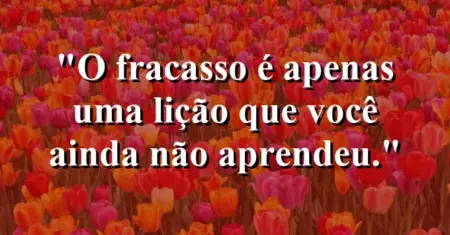 O fracasso é apenas uma lição que você ainda não aprendeu.