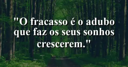 O fracasso é o adubo que faz os seus sonhos crescerem.