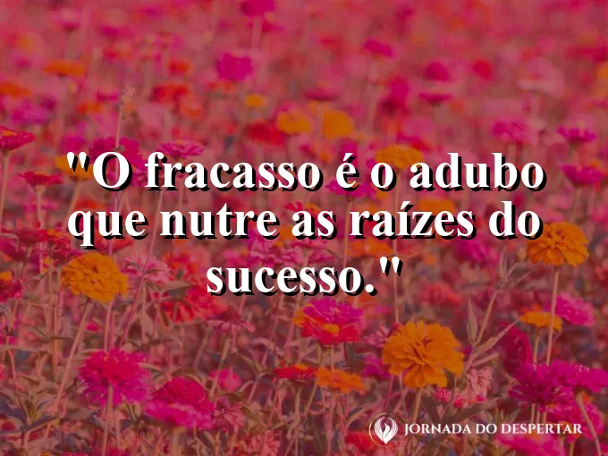 Planta crescendo em solo escuro, rico e fértil.