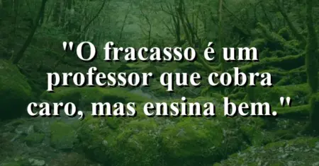 O fracasso é um professor que cobra caro, mas ensina bem.