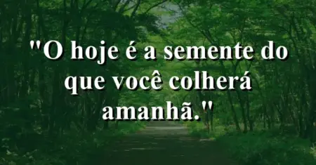 O hoje é a semente do que você colherá amanhã.