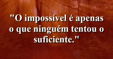 O impossível é apenas o que ninguém tentou o suficiente.