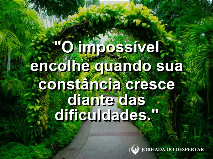 Imagem com frase sobre constância vencendo grandes dificuldades.