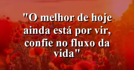 “O melhor de hoje ainda está por vir, confie no fluxo da vida”