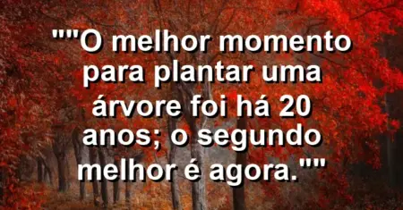 “O melhor momento para plantar uma árvore foi há 20 anos; o segundo melhor é agora.”