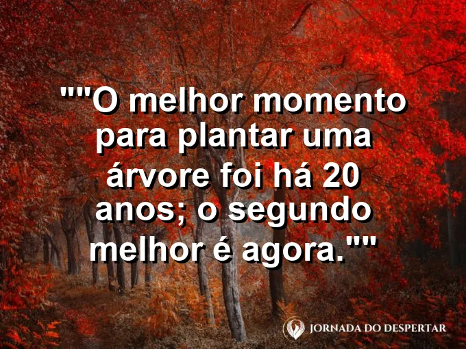 Mãos sujas de terra segurando uma muda de árvore.