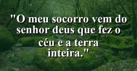 “O meu socorro vem do Senhor Deus que fez o céu e a terra inteira.”