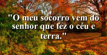 “O meu socorro vem do Senhor que fez o céu e terra.”