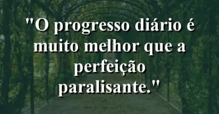O progresso diário é muito melhor que a perfeição paralisante.