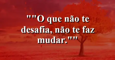 “O que não te desafia, não te faz mudar.”