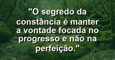 “O segredo da constância é manter a vontade focada no progresso e não na perfeição.”