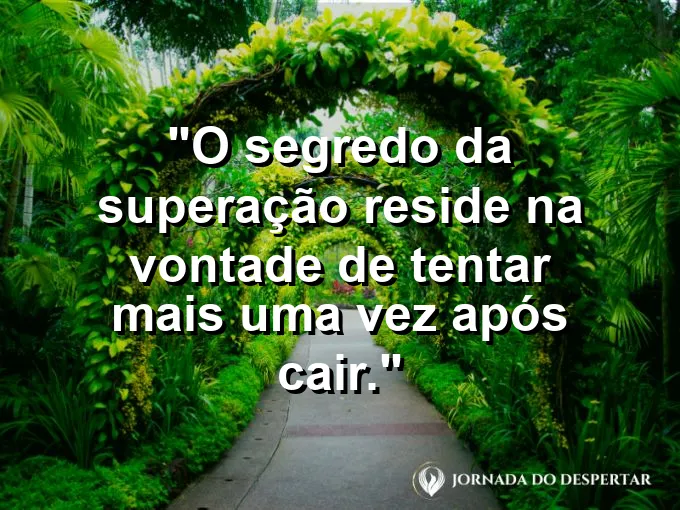 Pessoa se levantando de um chão de pedras com frase sobre tentar novamente.