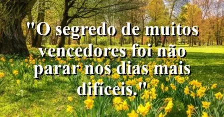 “O segredo de muitos vencedores foi não parar nos dias mais difíceis.”