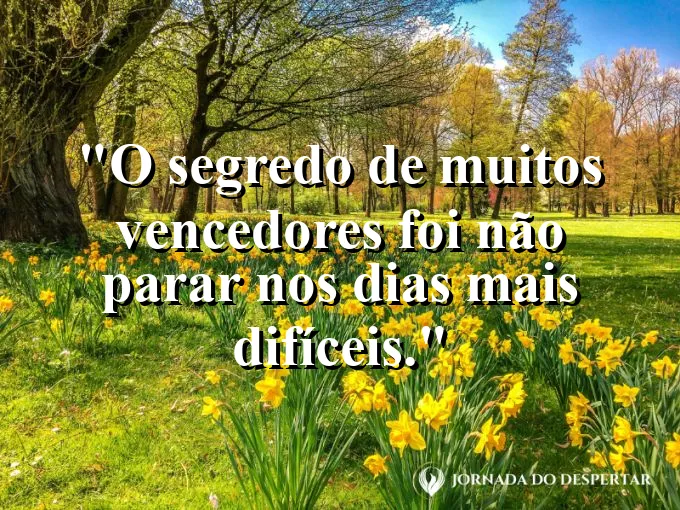 Imagem com frase sobre não parar diante das dificuldades.