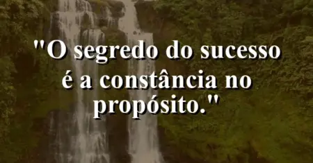 O segredo do sucesso é a constância no propósito.