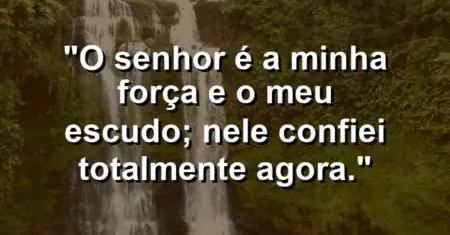 “O Senhor é a minha força e o meu escudo; nEle confiei totalmente agora.”