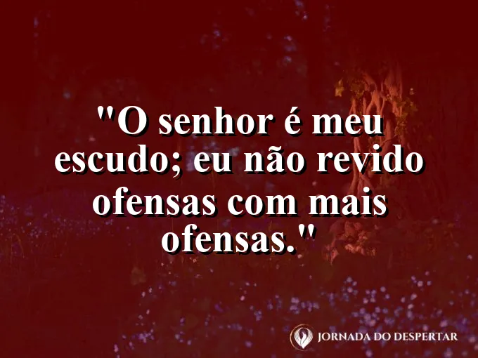 Imagem com a frase: O Senhor é meu escudo; eu não revido ofensas com mais ofensas.