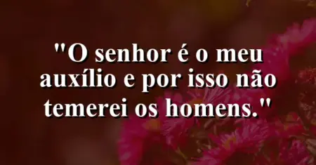 “O Senhor é o meu auxílio e por isso não temerei os homens.”