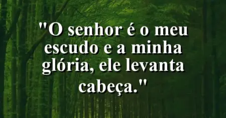 “O Senhor é o meu escudo e a minha glória, Ele levanta cabeça.”
