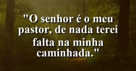 “O Senhor é o meu pastor, de nada terei falta na minha caminhada.”