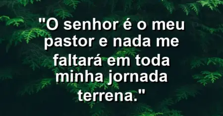 “O Senhor é o meu pastor e nada me faltará em toda minha jornada terrena.”