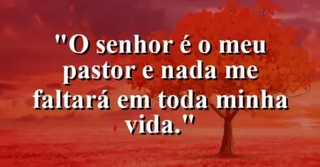 “O Senhor é o meu pastor e nada me faltará em toda minha vida.”