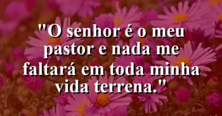 “O Senhor é o meu pastor e nada me faltará em toda minha vida terrena.”