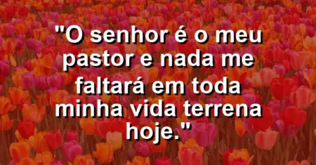 “O Senhor é o meu pastor e nada me faltará em toda minha vida terrena hoje.”