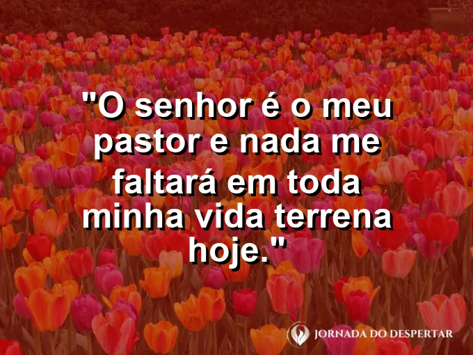 Ovelha descansando em pastos verdes sob a luz do sol com frase do Salmo vinte e três.