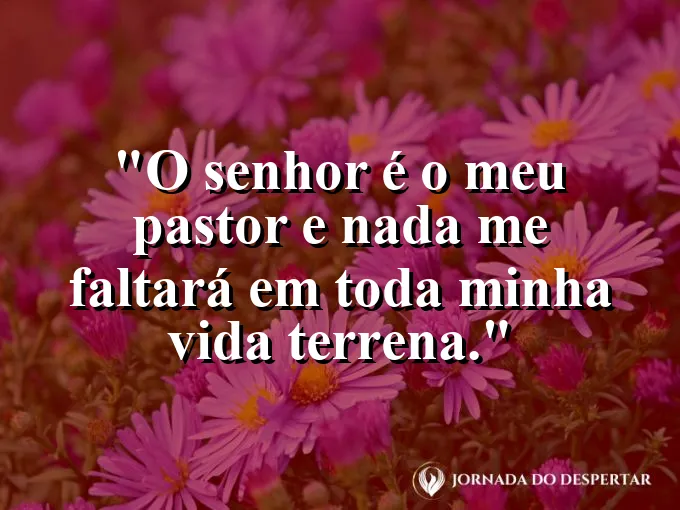 Ovelha descansando em pastos verdes sob a luz do sol com frase do Salmo 23.