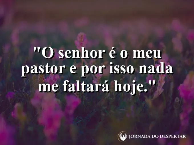 Campo verdejante com ovelhas descansando sob a luz do sol e frase do Salmo vinte e três.