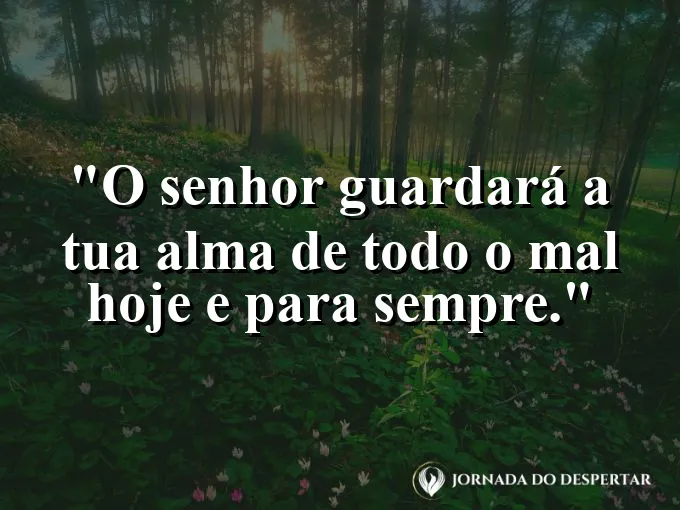 Escudo invisível protegendo uma pequena flor do vento com frase sobre a guarda da alma divina.