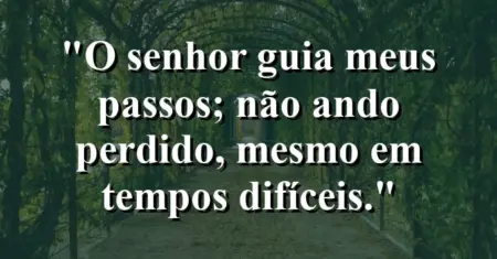 “O Senhor guia meus passos; não ando perdido, mesmo em tempos difíceis.”