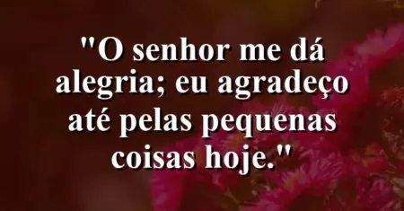 “O Senhor me dá alegria; eu agradeço até pelas pequenas coisas hoje.”