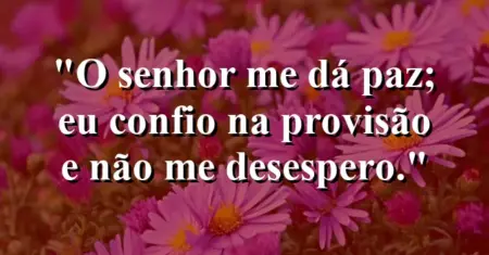 “O Senhor me dá paz; eu confio na provisão e não me desespero.”