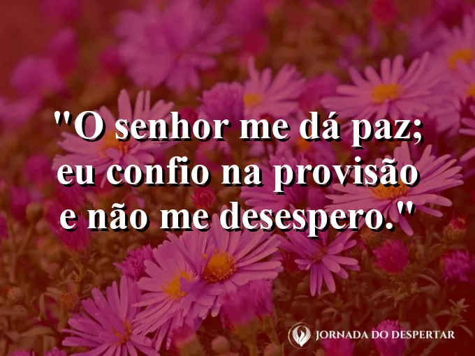 Imagem com a frase: O Senhor me dá paz; eu confio na provisão e não me desespero.